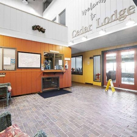 לקוניה Cute Cedar Lodge Studio With Balcony & Lake Views! מראה חיצוני תמונה